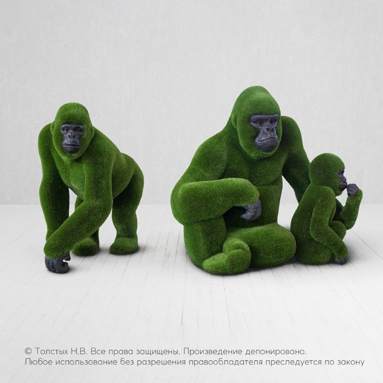Семейство горилл