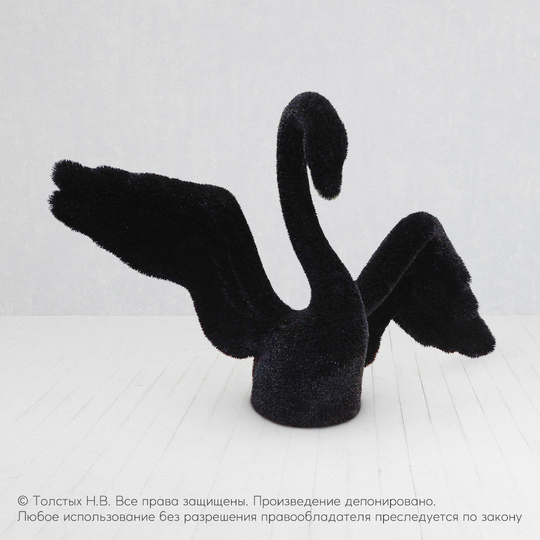 Лебедь большой чёрный